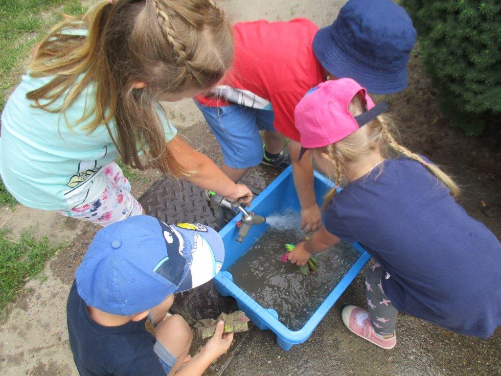 Die Wasserblumen bekommen ein Becken