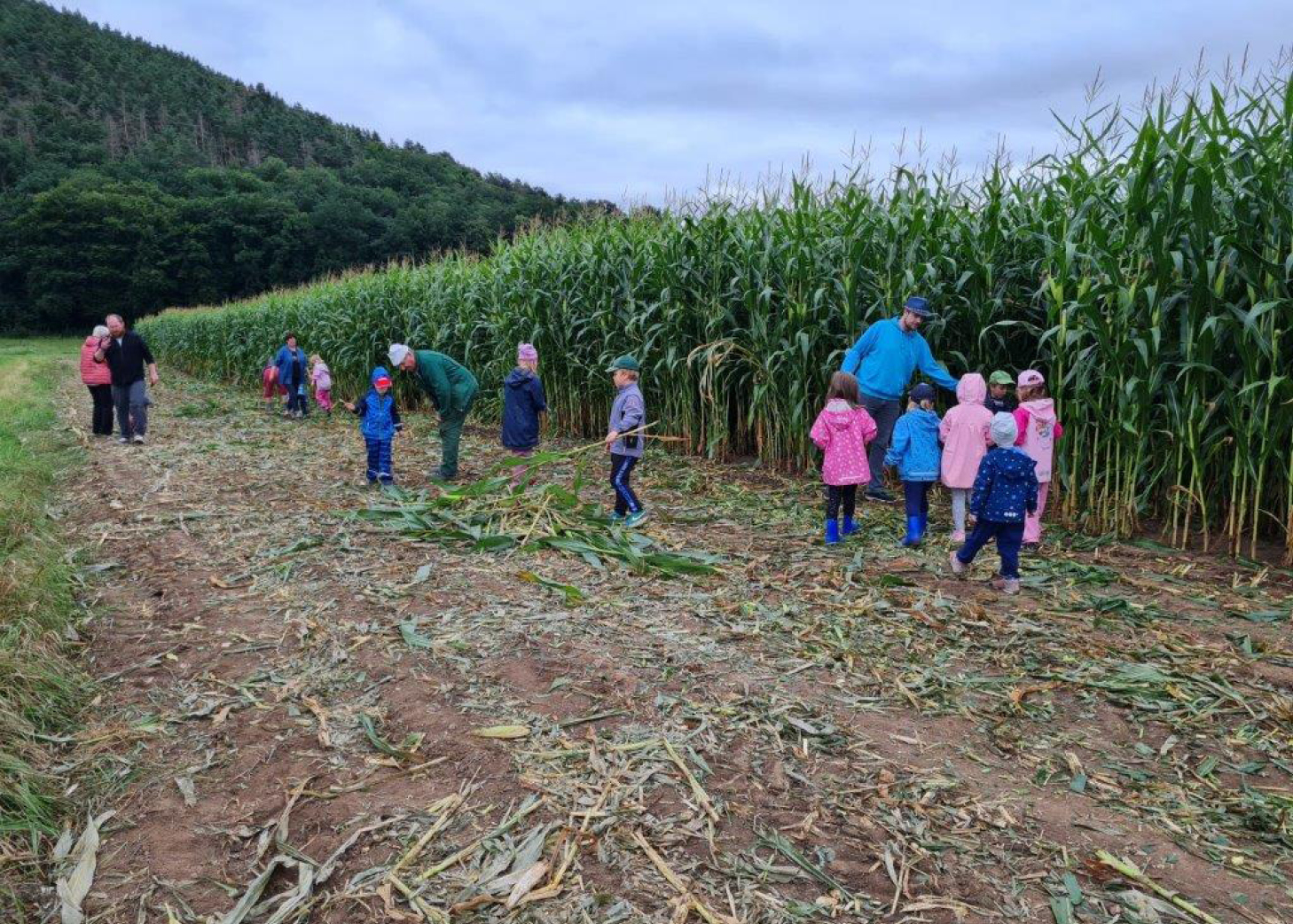 DRK-Kita Bunte Welt: Besuch auf dem Bauernhof