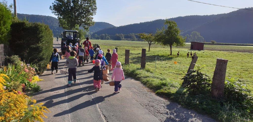 Kartoffelernte bei den Kita-Kindern