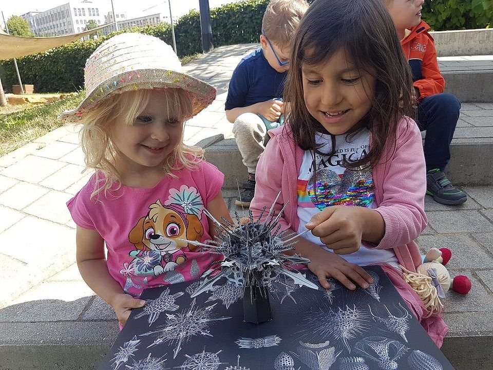 Welt im Meer: Mit Popupbuch