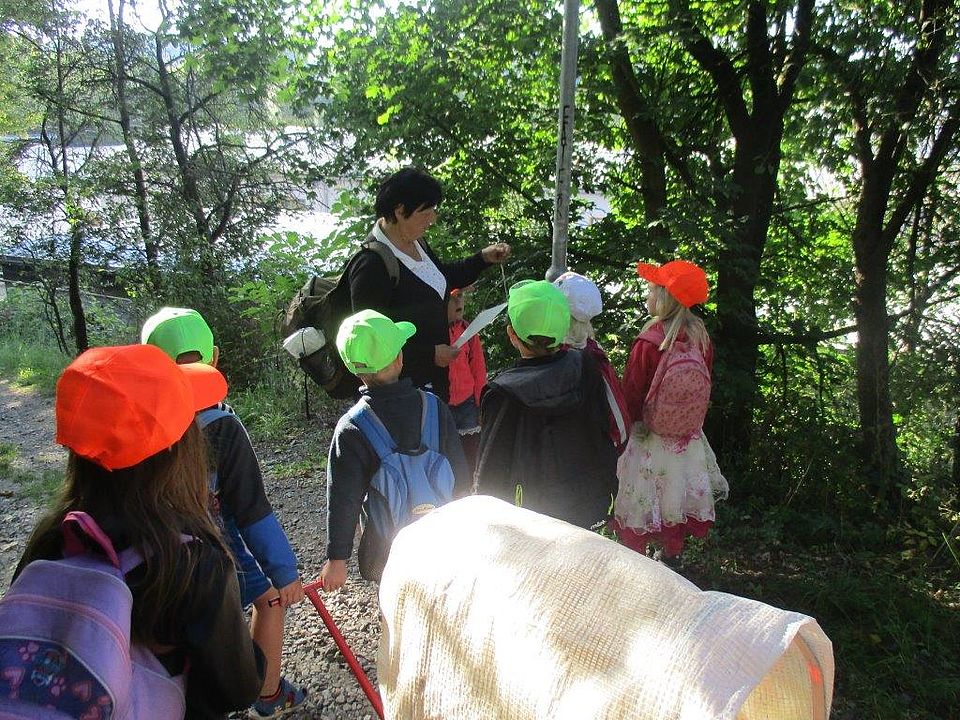 Auf der Suche nach den Zuckertüten