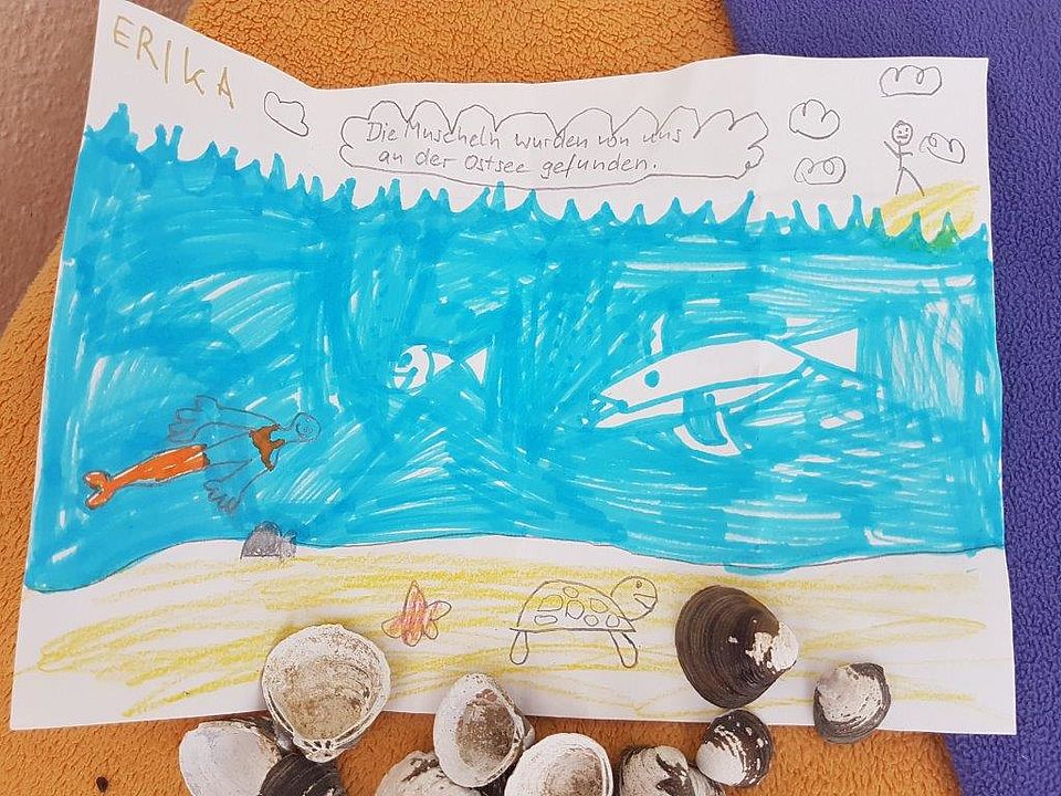 Welt im Meer: Muscheln als Strandgut