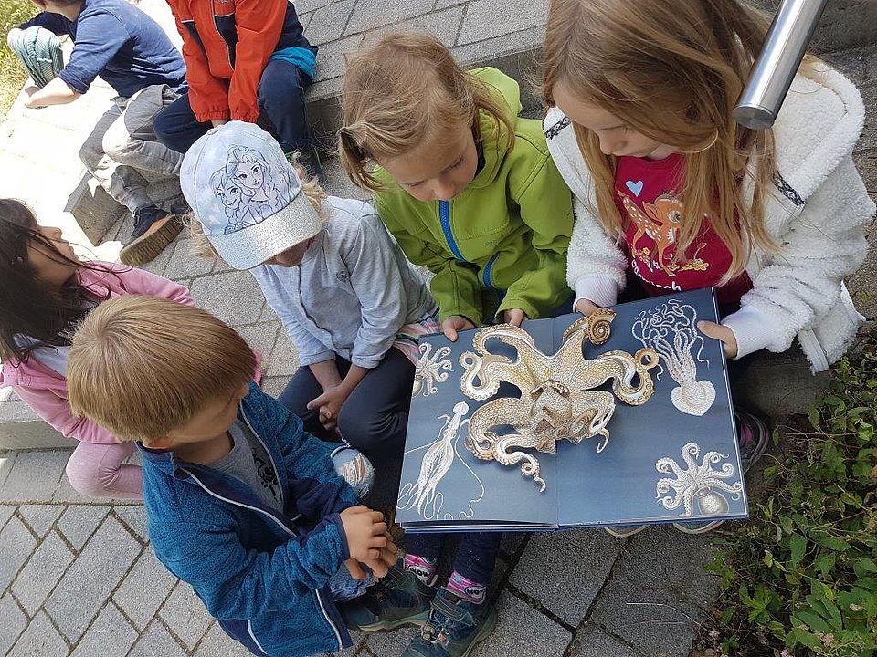 Welt im Meer: Kita-Kinder mit Oktopusbuc