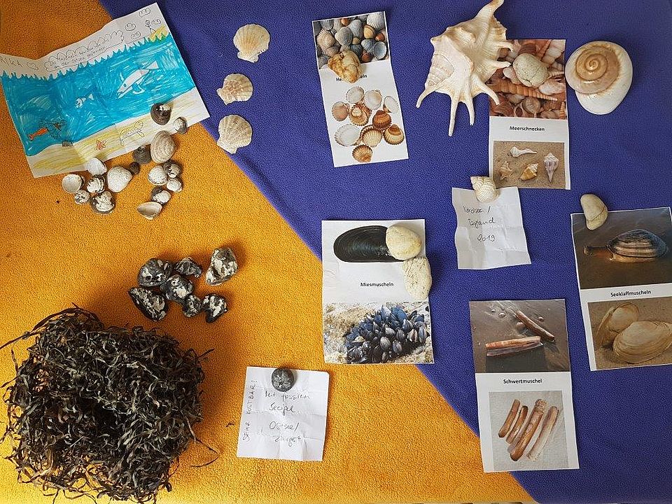 Welt im Meer: Gesammeltes Strandgut in der Kita Sternschnuppe